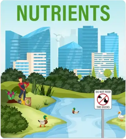 nutrients